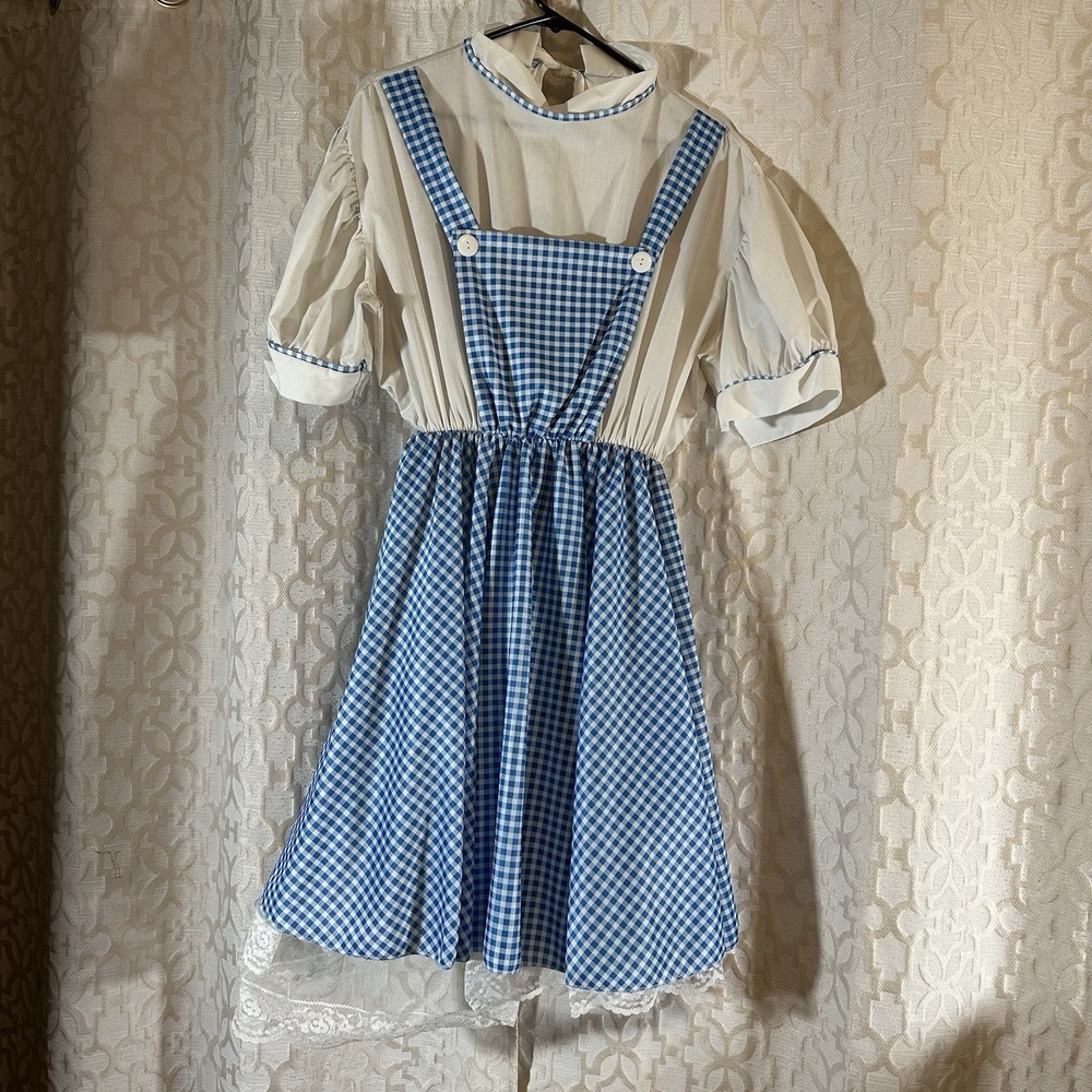 Wizard of Oz Dorothy Adult Dress Costume Plus Sz (20-24) With Red Sequin Shoes